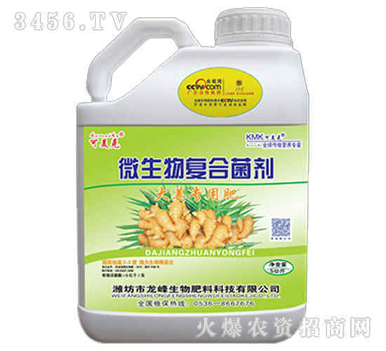 微生物復(fù)合菌劑-大姜專用-龍峰生物