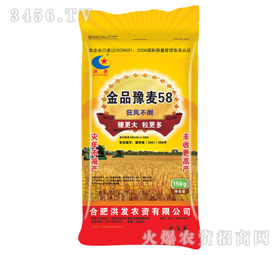 金品豫麥58-小麥種子-東星農業