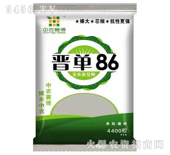 玉米雜交種-晉單86-懇豐農業