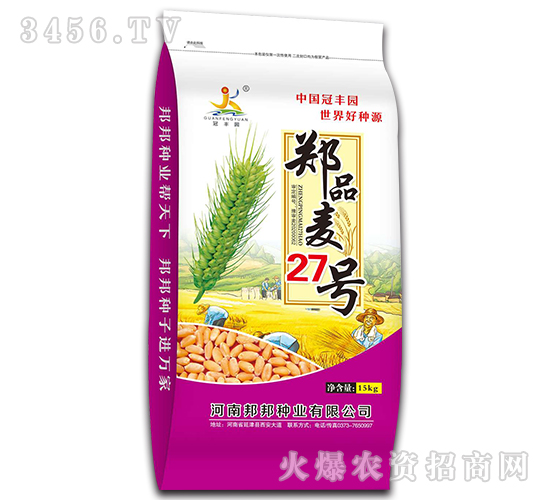 鄭品麥27號（15kg）-小麥種子-邦邦種業