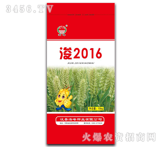 浚2016-小麥種子-佳碩種業