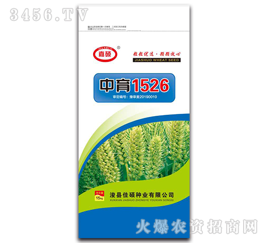 中育1526-小麥種子-嘉碩