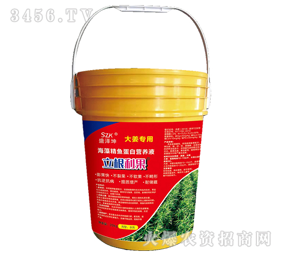 海藻精魚蛋白營養液（大姜專用）-立根利果-盛澤坤