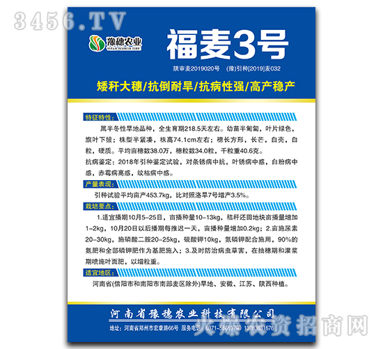 福麥3號(hào)-小麥種子-豫穗農(nóng)業(yè)