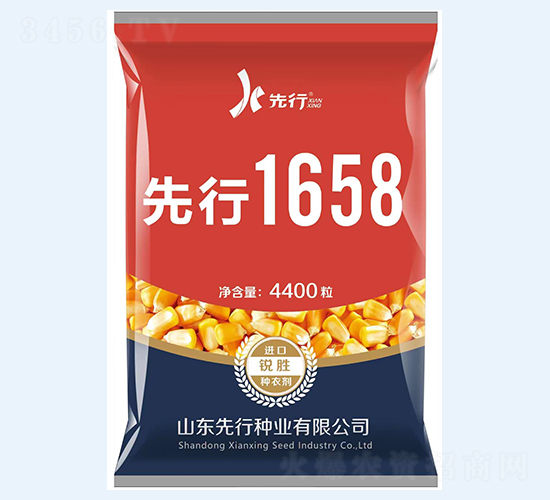 先行1658-玉米種子-金專環球農業