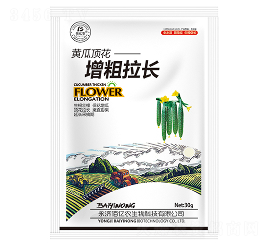 黃瓜頂花增粗拉長-佰億農生物
