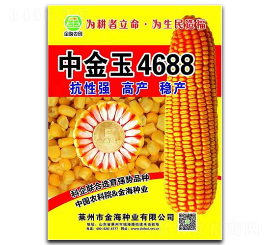 中金玉4688-玉米種子-金海農創(chuàng)