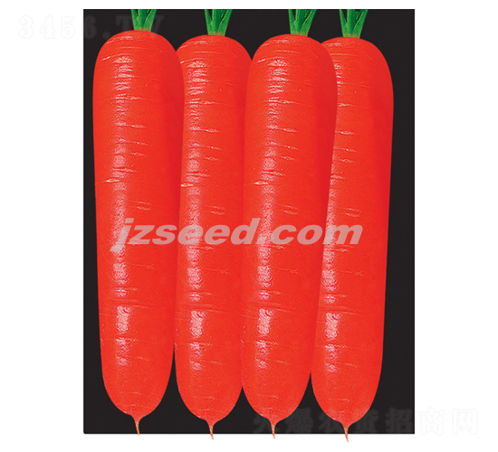 t809S-}N-FNI