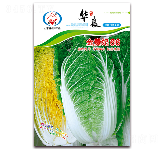 金貴妃66-大白菜種子-華良種業