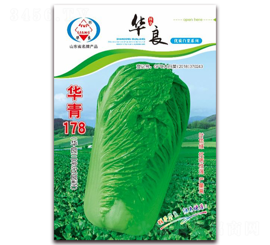 華青178-大白菜種子-華良種業