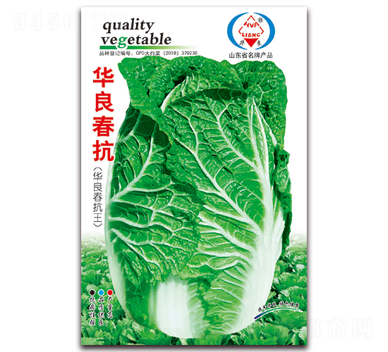 華良春抗-大白菜種子-華良種業