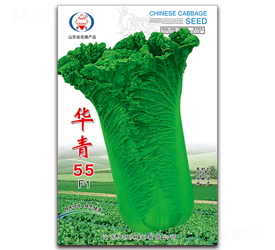 華青55-大白菜種子-華良種業