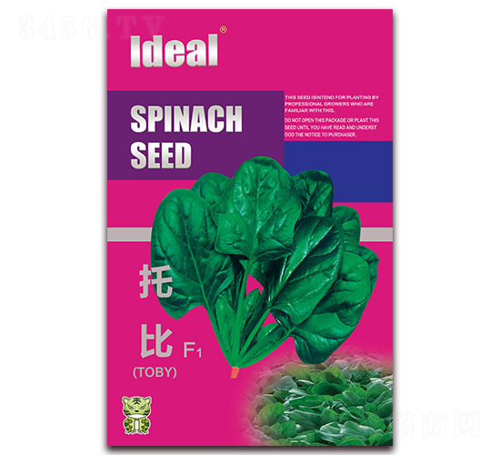 托比-菠菜種子-理想農業