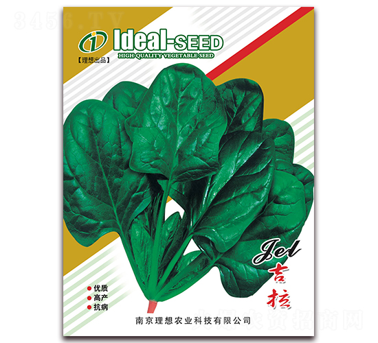 吉拉菠菜-菠菜種子-理想農業