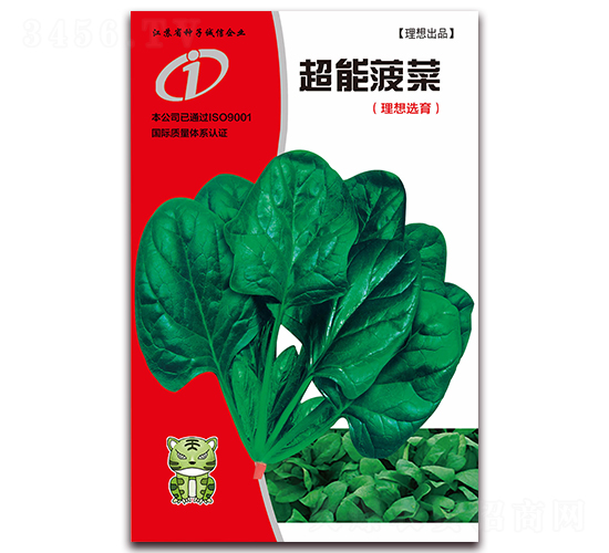 超能菠菜-菠菜種子-理想農業