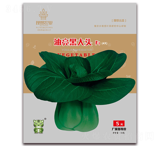 油亮黑大頭-青梗菜種子-理想農業