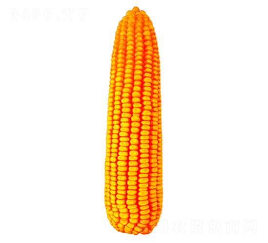 F669-׷N-FзNI