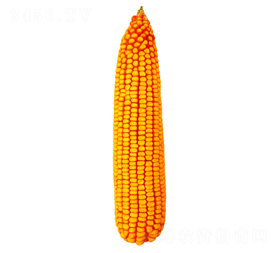 F56-׷N-FзNI