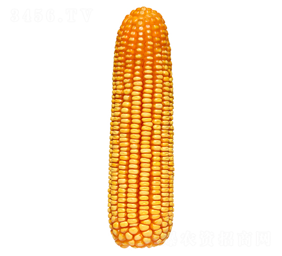 F39-׷N-FзNI