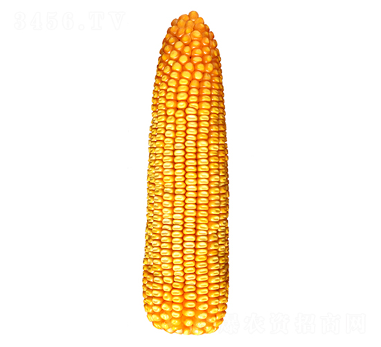 F26̖-׷N-FзNI