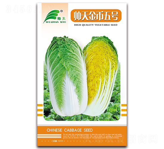 帥天金幣五號-白菜種子-帥天