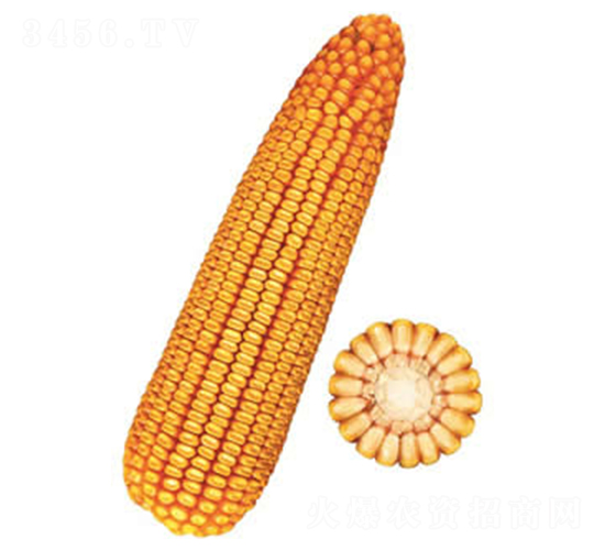 F25̖-׷N-FзNI
