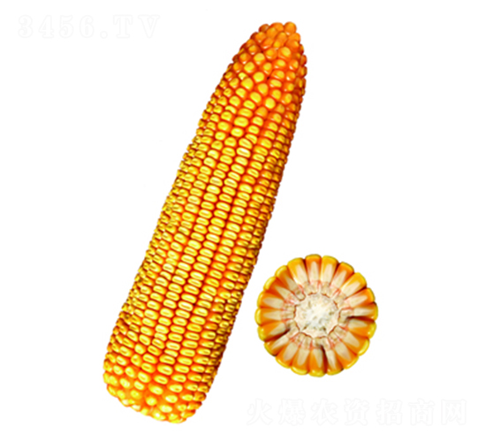 F20̖-׷N-FзNI