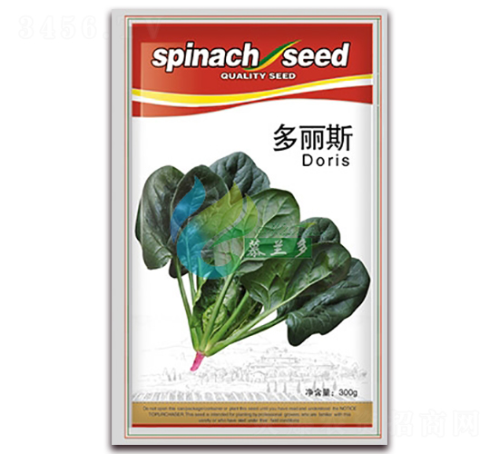 多麗斯-菠菜種子-慕蘭多
