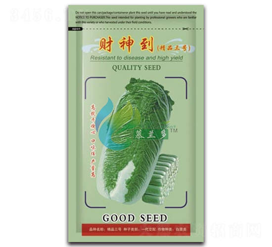 財神到-白菜種子-慕蘭多