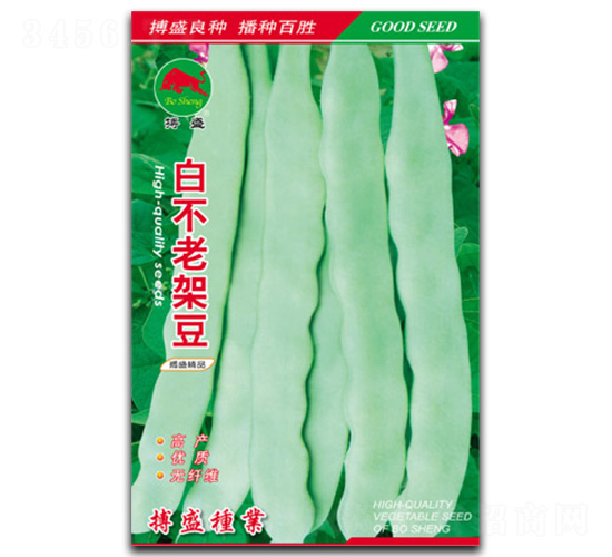 白不老架豆-架豆種子-搏盛種業