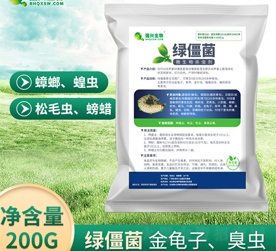 微生物殺蟲劑-綠僵菌-強興生物