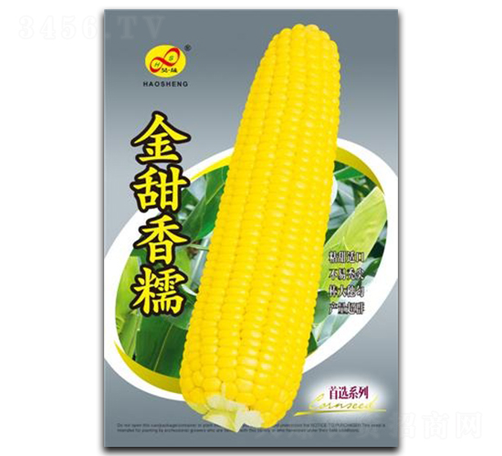 金甜香糯-糯玉米種子-昊晟種業