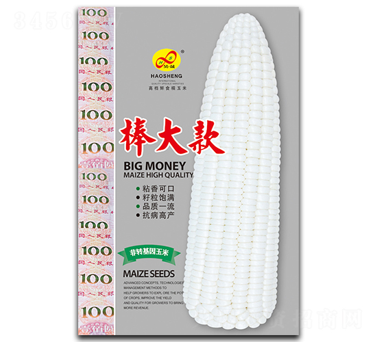 棒大款-糯玉米種子-昊晟種業
