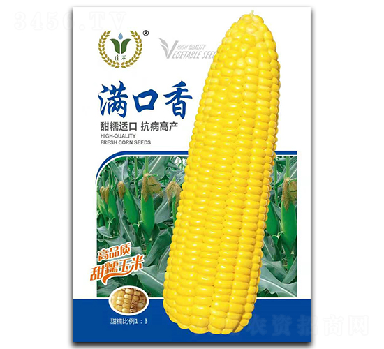 滿口香-糯玉米種子-昊晟種業