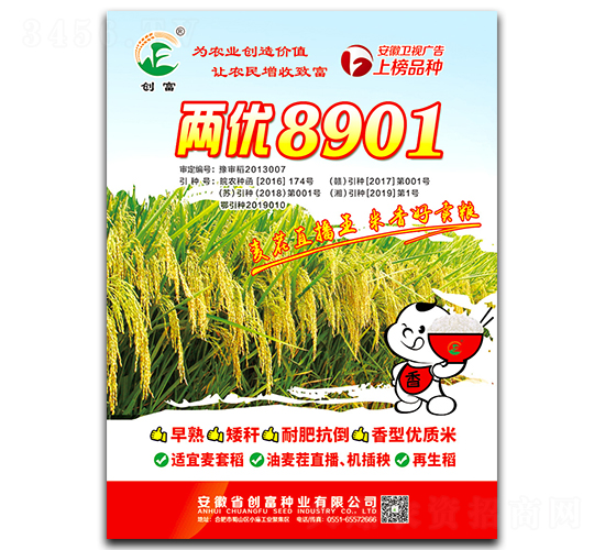 兩優8901-水稻種子-創富種業