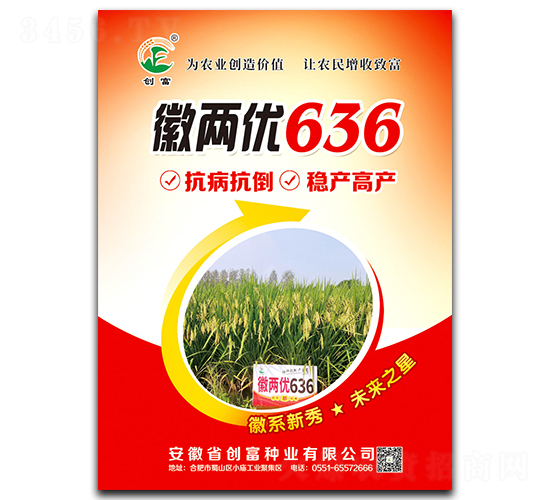 徽兩優636-水稻種子-創富種業