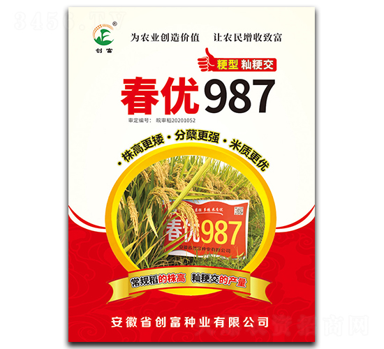 春優987-水稻種子-創富種業