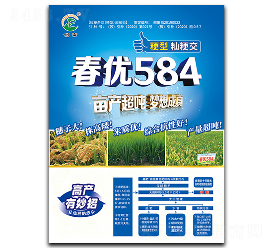 春優584-水稻種子-創富種業