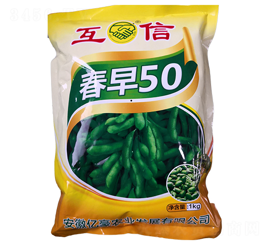 春早50-毛豆種子-億豪農業