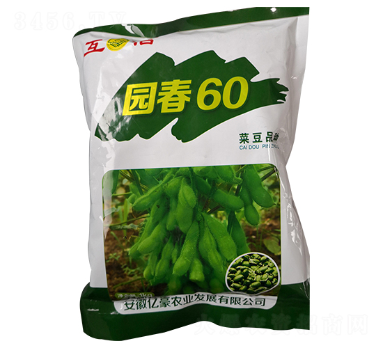 園春60-毛豆種子-億豪農業