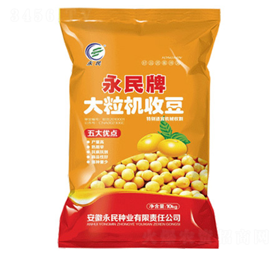 大粒機收豆-大豆種子-永民種業