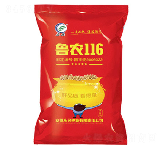 魯農116-大豆種子-永民種業