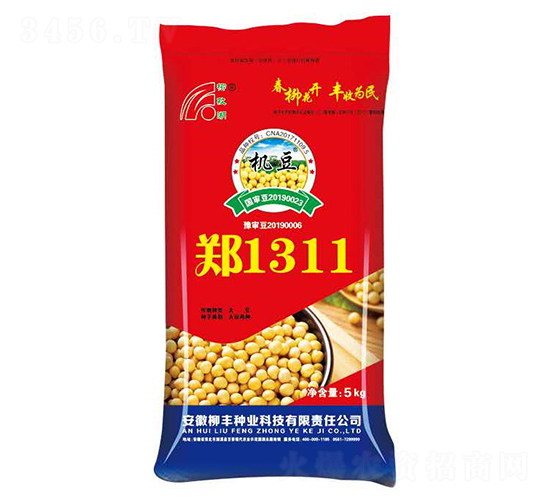 鄭1311-黃豆種子-柳豐種業