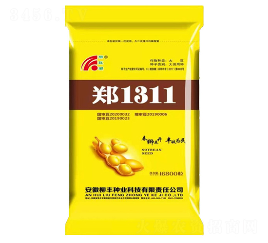 鄭1311（黃袋）-黃豆種子-柳豐種業