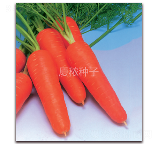 鸣518-}N-BrI