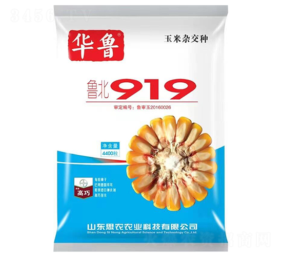 919-sN-ԬrI