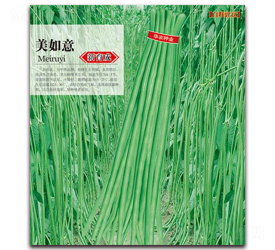 美如意-豇豆種子-華農種業