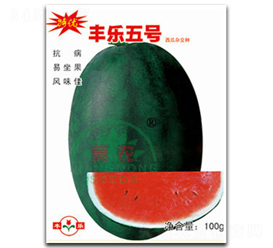 豐樂5號-西瓜種子-亮農