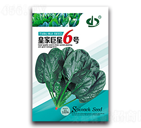 皇家巨星6號-菠菜種子-天瑞種子