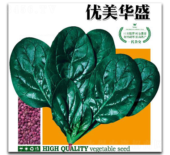 優美華盛-菠菜種子-優美農業